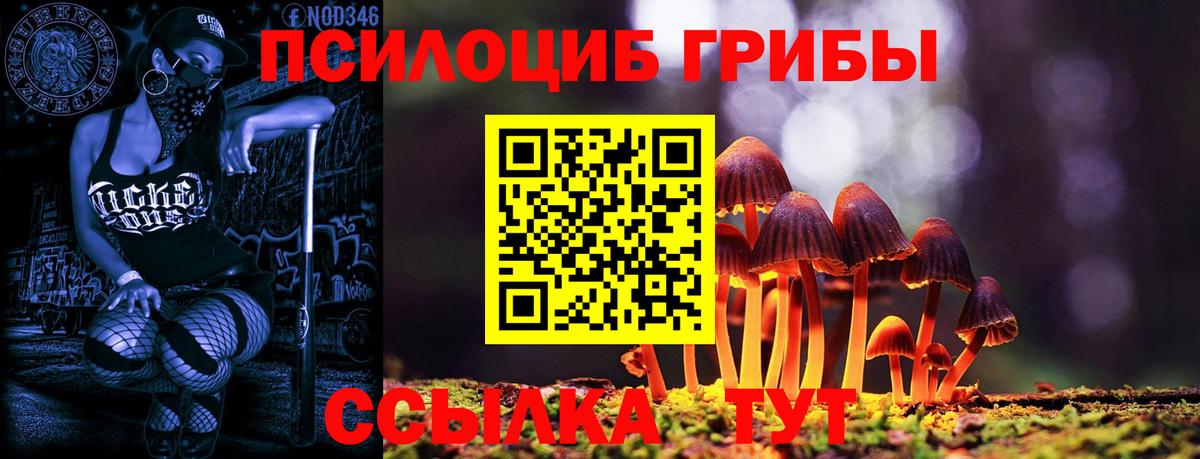 Галлюциногенные грибы мухоморы  Вход с VPN  Учалы 