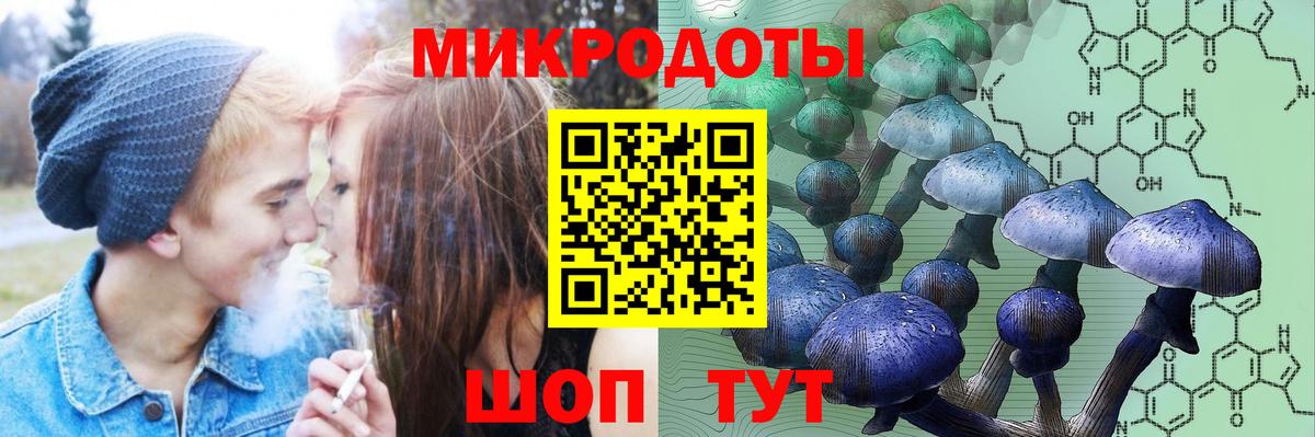 Псилоцибиновые грибы прущие грибы Учалы